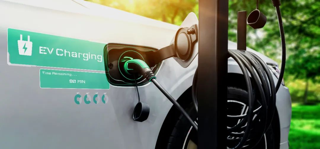 养车虎猫狗,猫狗虎养车哪个前景好