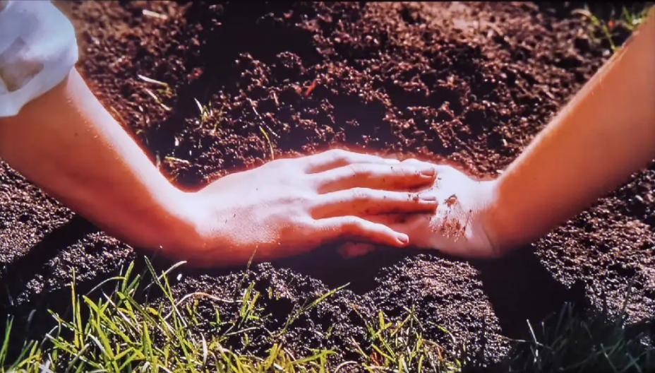 怦然心动家庭教育,怦然心动女孩对男孩说的话