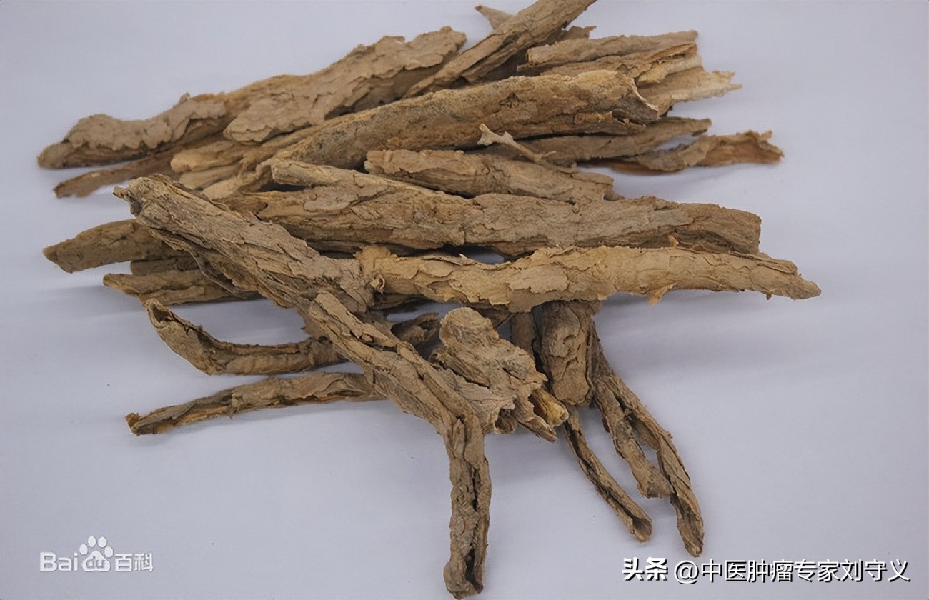 地骨皮这味中药能治什么病呢,地骨皮炙甘草泡水喝的功效