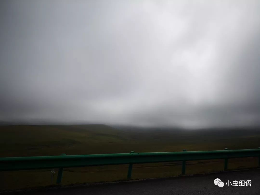 马不停蹄地悠赏之诺尔盖草原