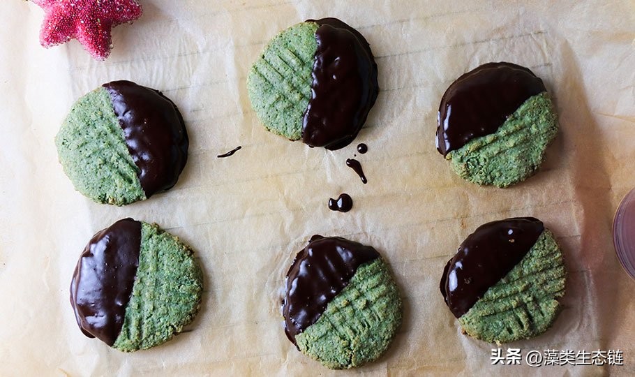 藻类基础知识,鱼塘藻类培养