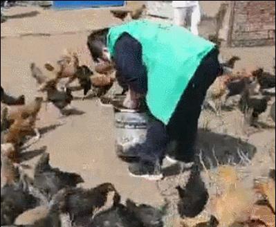 63岁的施瓦辛格,74岁施瓦辛格