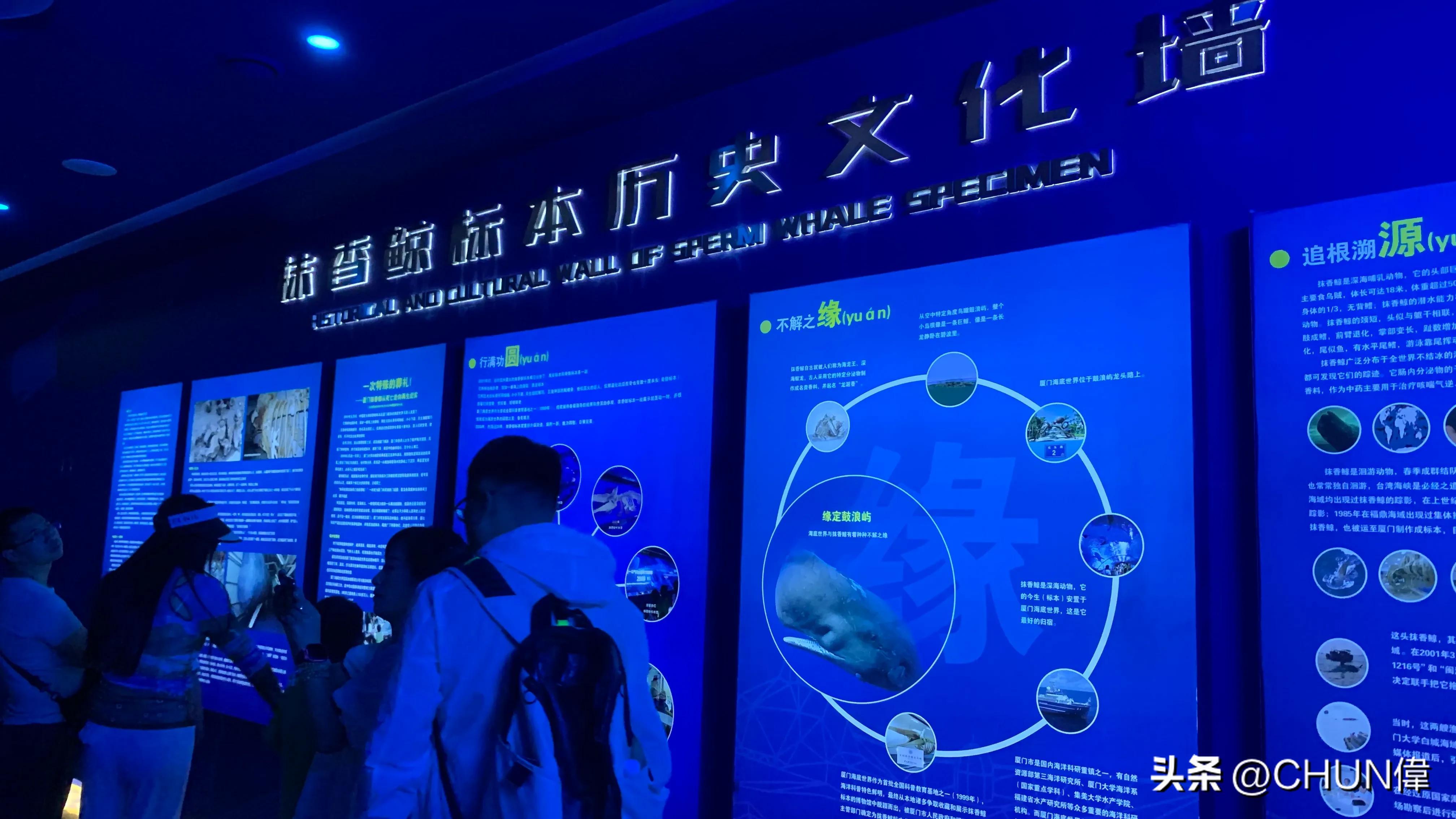 自由行厦门鼓浪屿四天怎么安排,鼓浪屿一日游五一