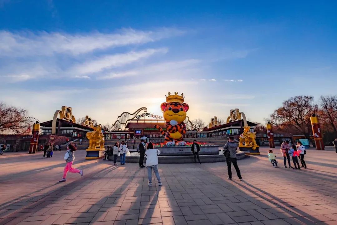 济南遛娃嗨玩这里享优惠,济南遛娃乐园周末