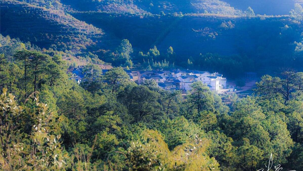 大姑姐这样做的目的到底是什么