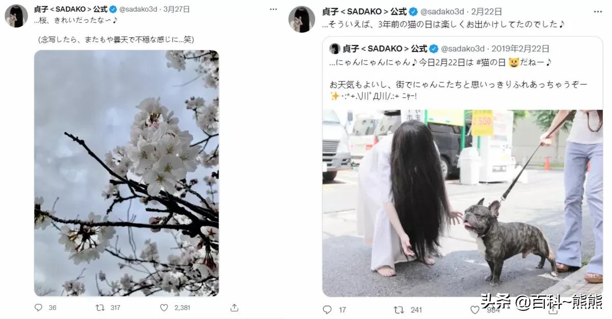 贞子演员扮演者采访,贞子电影演员表