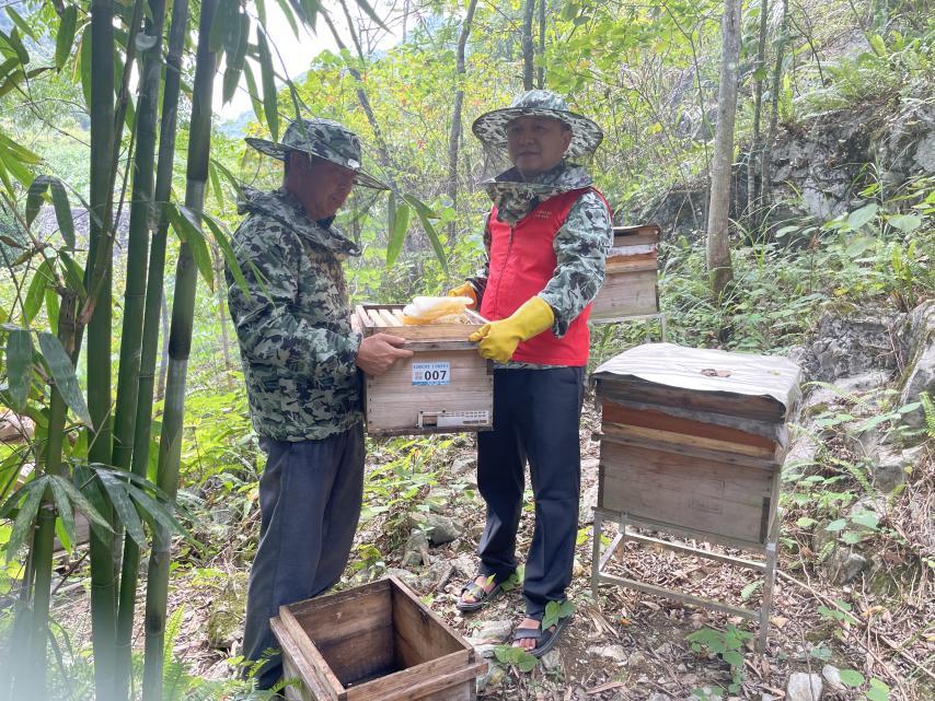驻村帮扶工作队引导产业发展,培育农村产业带头人推进乡村振兴