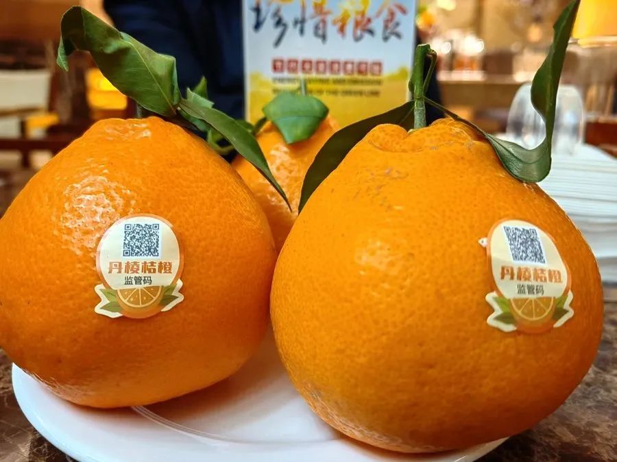 眉山春橘为什么行？