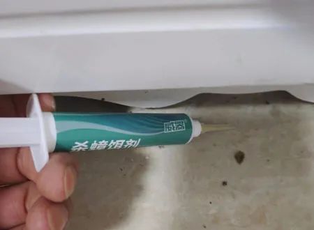 家里发现蟑螂不知道蟑螂窝在哪里,家里好多虫子像蟑螂又不是蟑螂