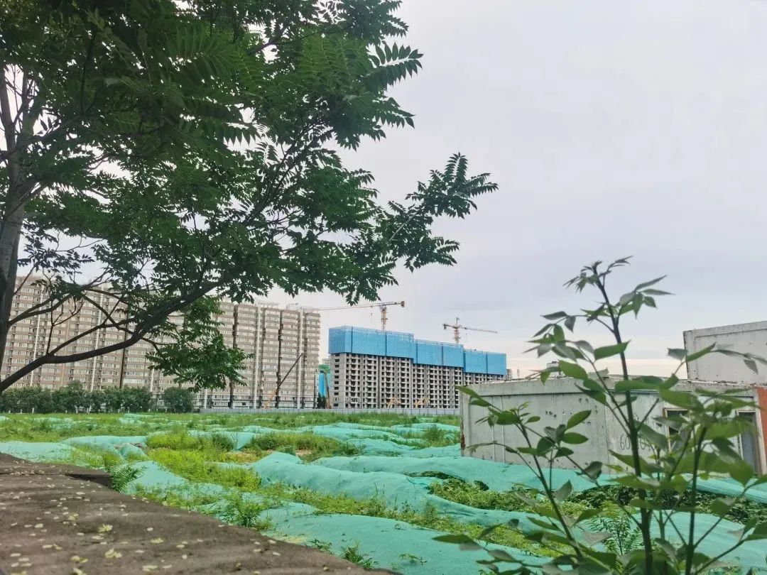 龙樾天元多少钱一平,龙樾天元特价房