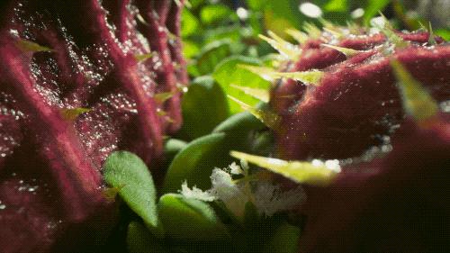 96岁还在奔波工作，这老爷子做出了今年9.8分神片