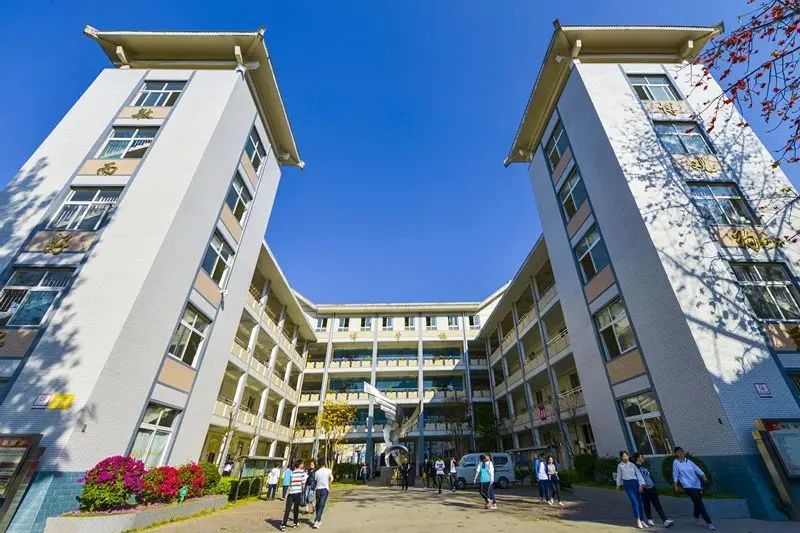 2018年大河中学招生计划,大河中学2022年招生政策