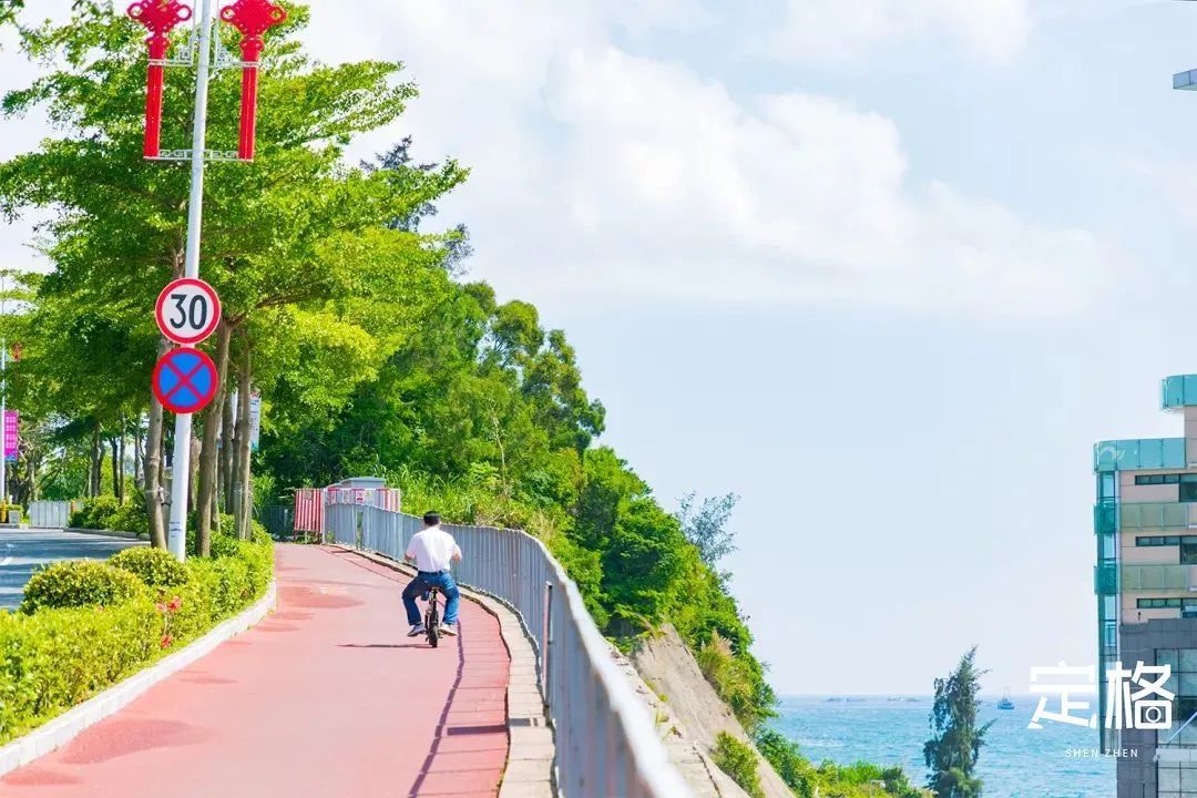 深圳九条最美绿道图片,这些深圳绿道骑出你的美