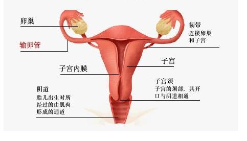 宫颈癌正确冲洗方法,宫颈癌患者治愈后需要经常冲洗吗
