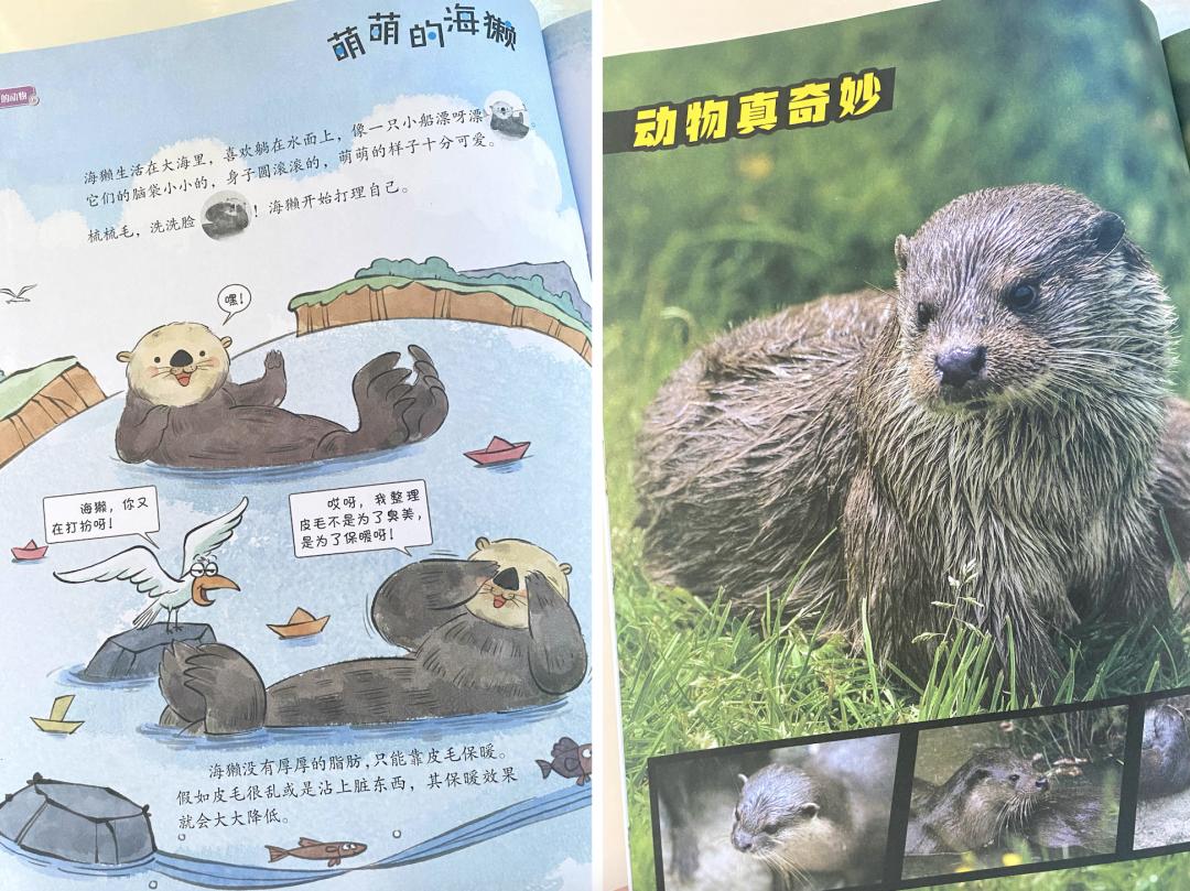 网红书推荐励志,网红推荐的书值得读吗