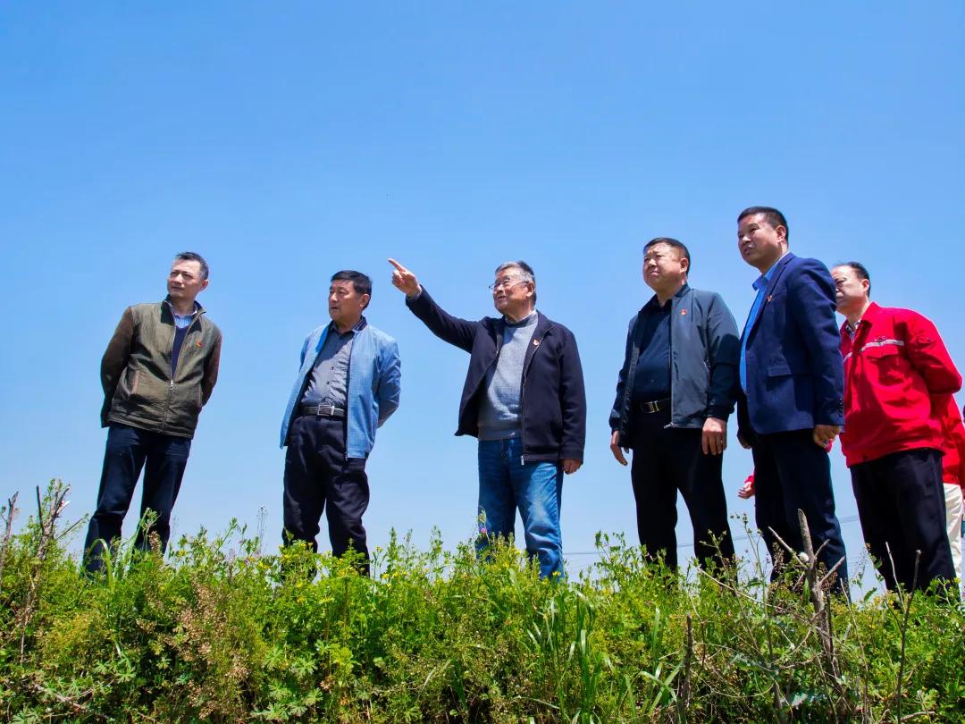 水台镇农村,描绘乡村振兴新蓝图