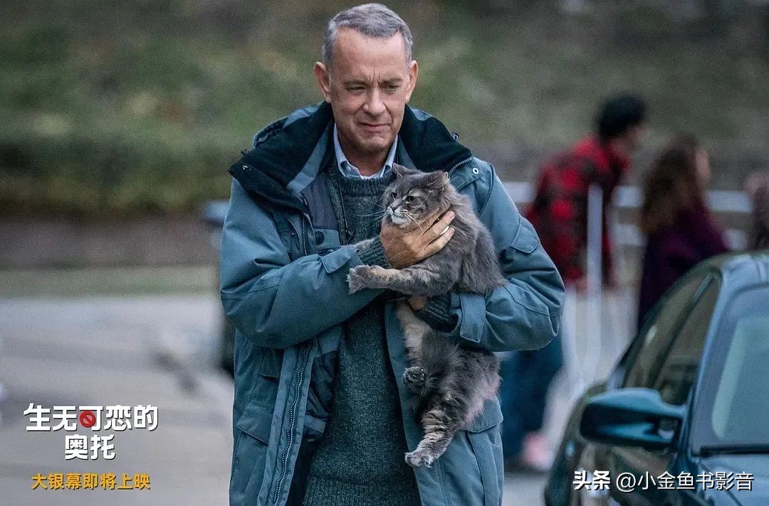 美版“欧维去死”！烂番茄冲到97%了！