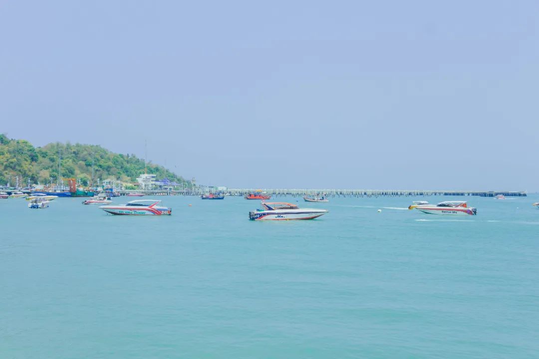 大数据推给想去泰国的朋友，万字长文玩转曼谷芭提雅