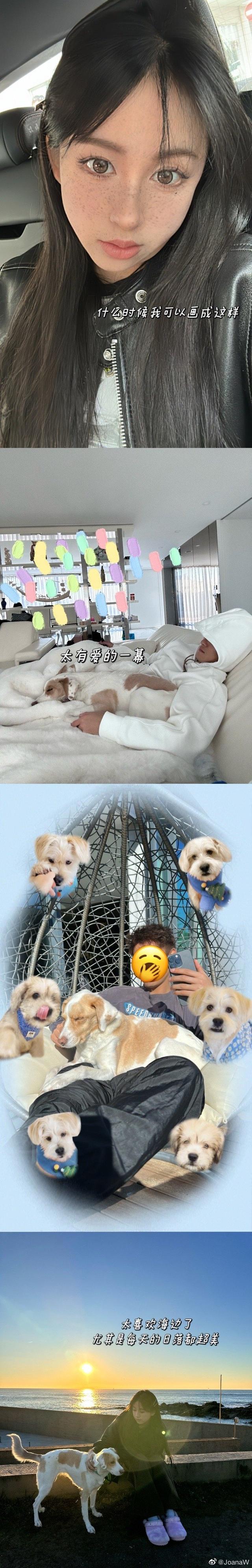 韦世豪妻子吴雅哪里人,韦世豪吴雅是夫妻吗