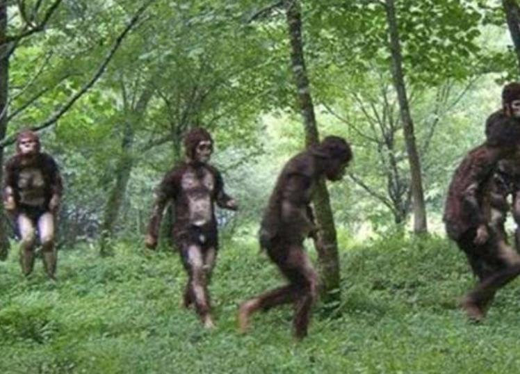 澶у叴瀹夊箔閲庝汉涔嬭皽鎻,澶у叴瀹夊箔娲绘崏閲庝汉涔嬭皽