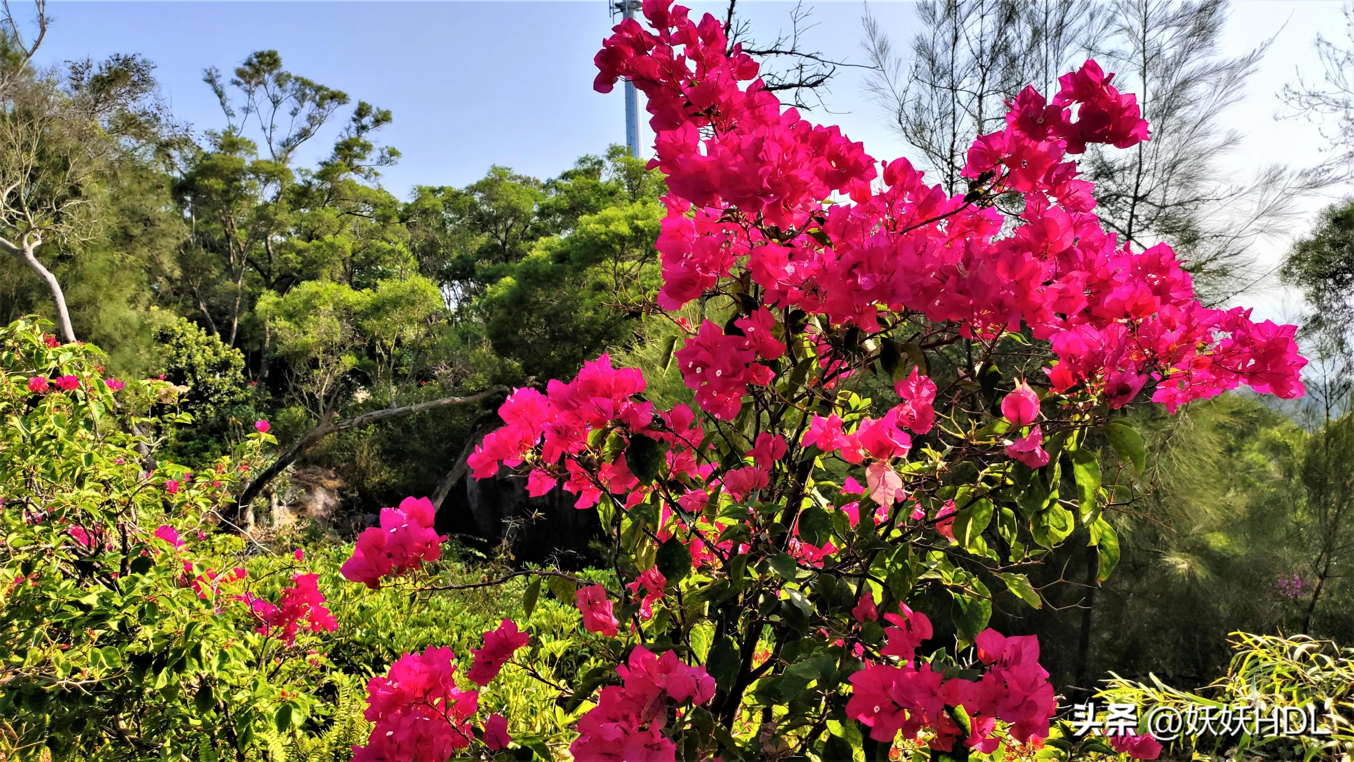 厦门山海健康步道的观音山出入口,厦门东坪山山海步道最佳路线图