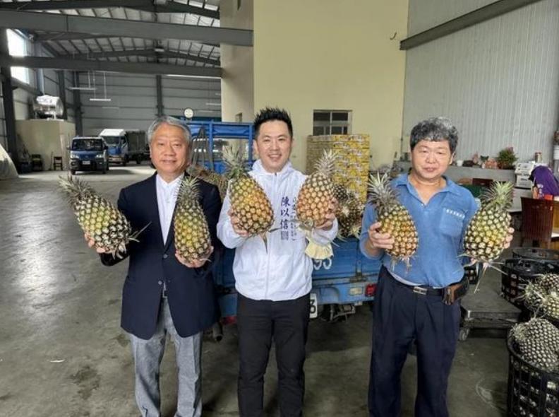 班班吃凤梨？台湾菠萝被日本拒收，台官方竟强行投喂全岛中小学