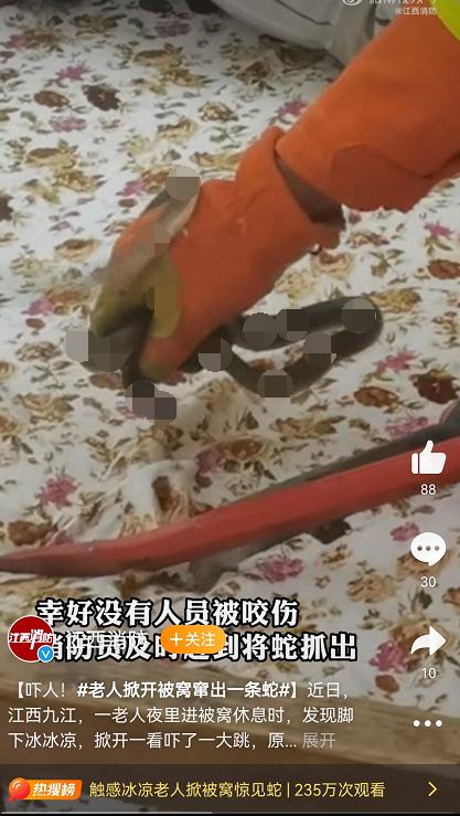 极度崩溃！江西老人在被窝里摸到蛇，如何才能驱蛇？雄黄真的没用