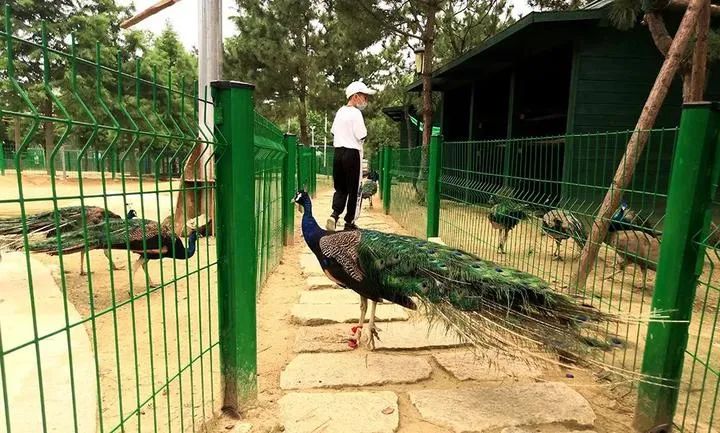 春天的第一场露营安排起来,春天里第一次露营