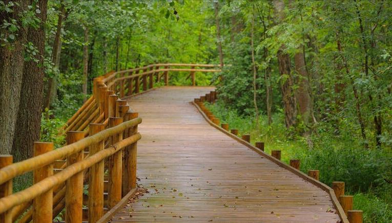 米兰的按摩院（下）