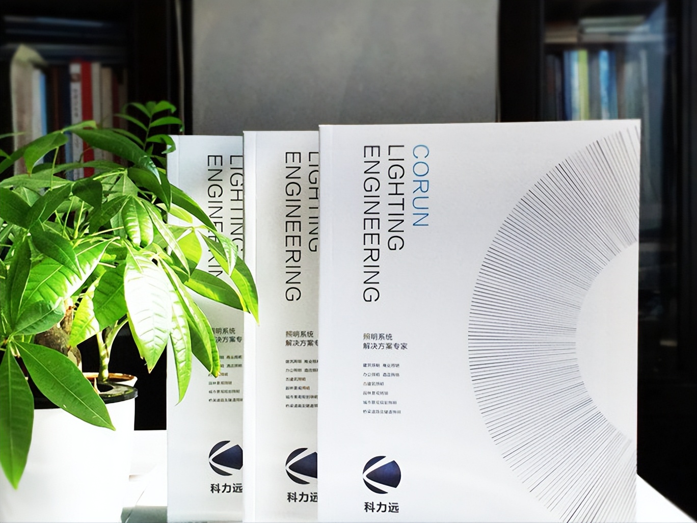 产品高雅气质宣传册设计,产品宣传册封面设计图片