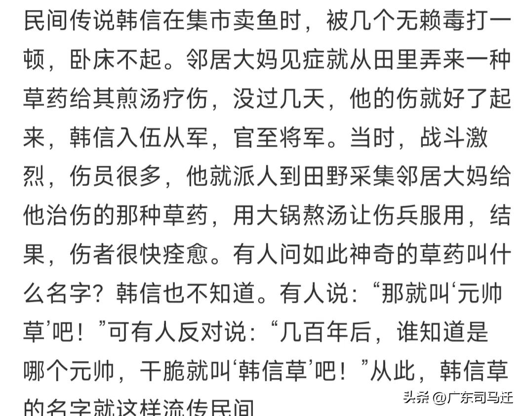 好玩的中山公园,中山公园这儿真美