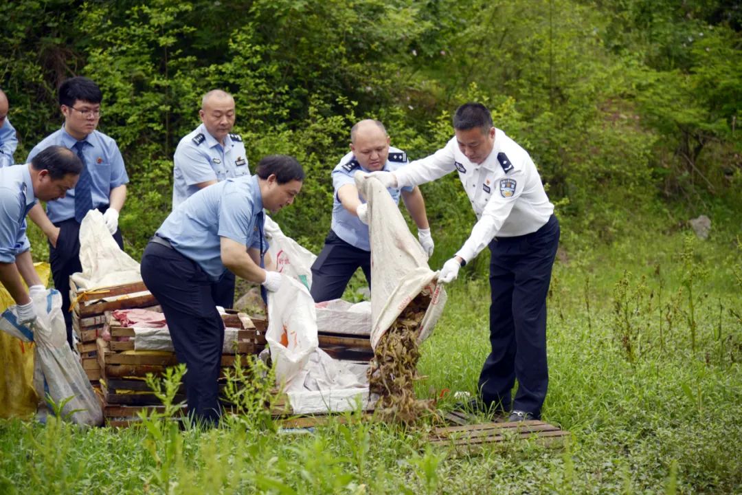 桂林市公安局看护大队,桂林市公安局象山分局