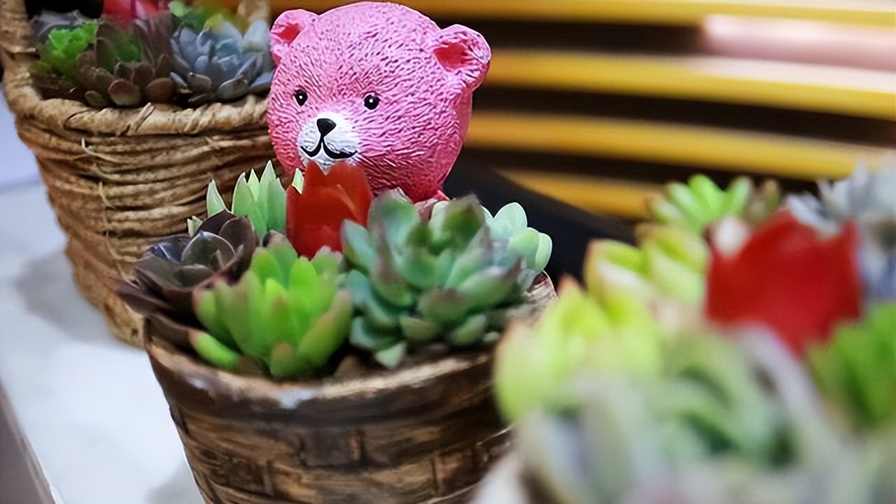 养花必买的有什么东西,养花必备的10件神器