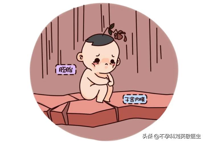 胚胎最爱什么样的内膜？怎么把薄内膜养成好内膜！