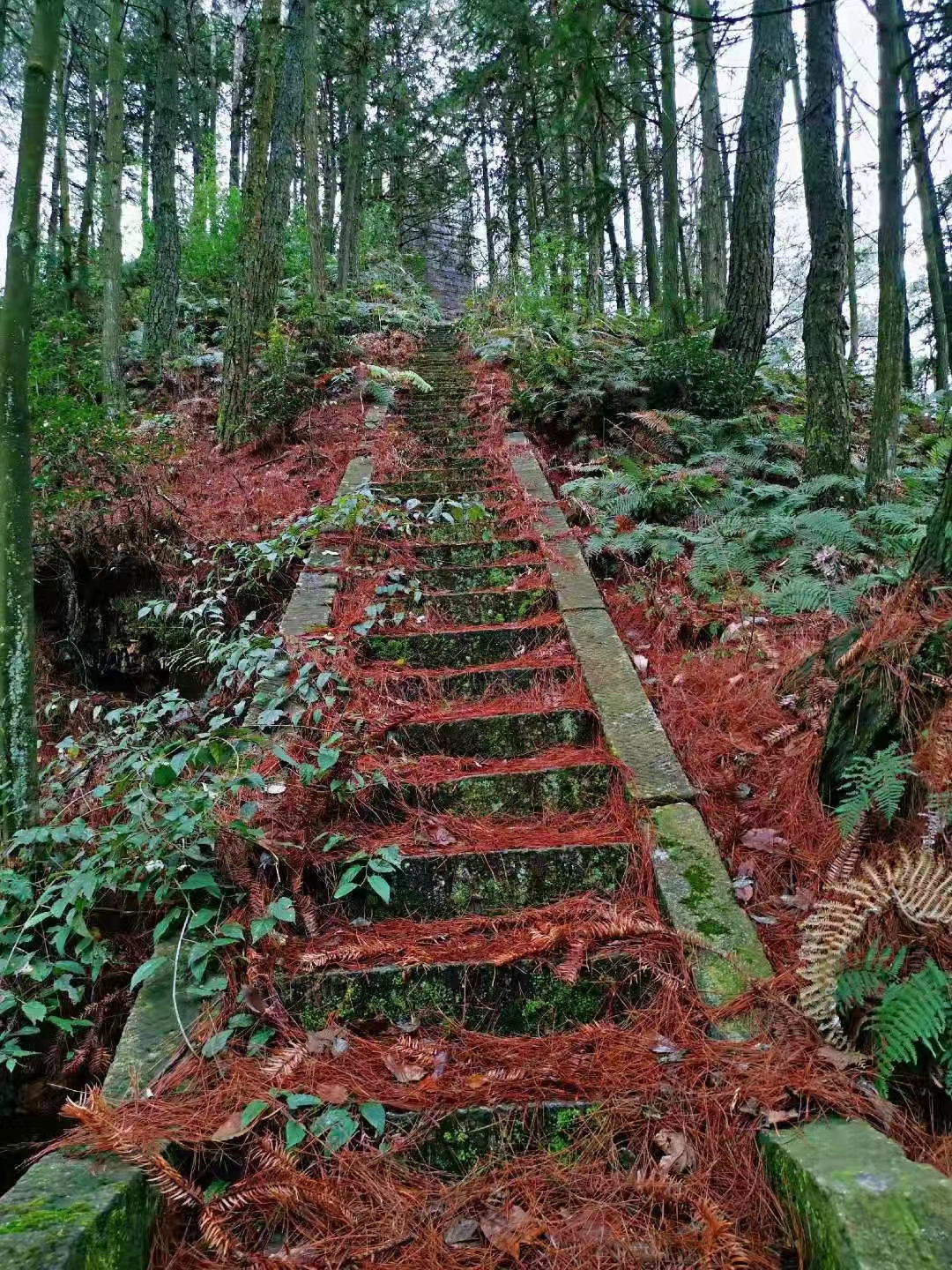 【日记里的军旅路】480：为足球欢呼