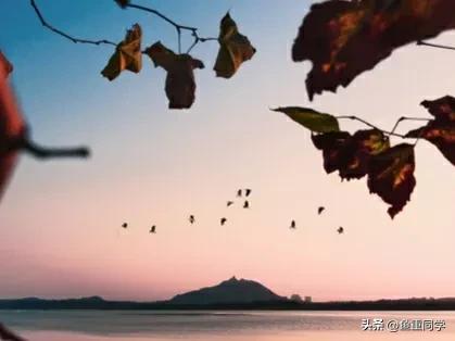 2023年是黑兔有什么说法,2023年黑兔遇上闰二月有什么说法