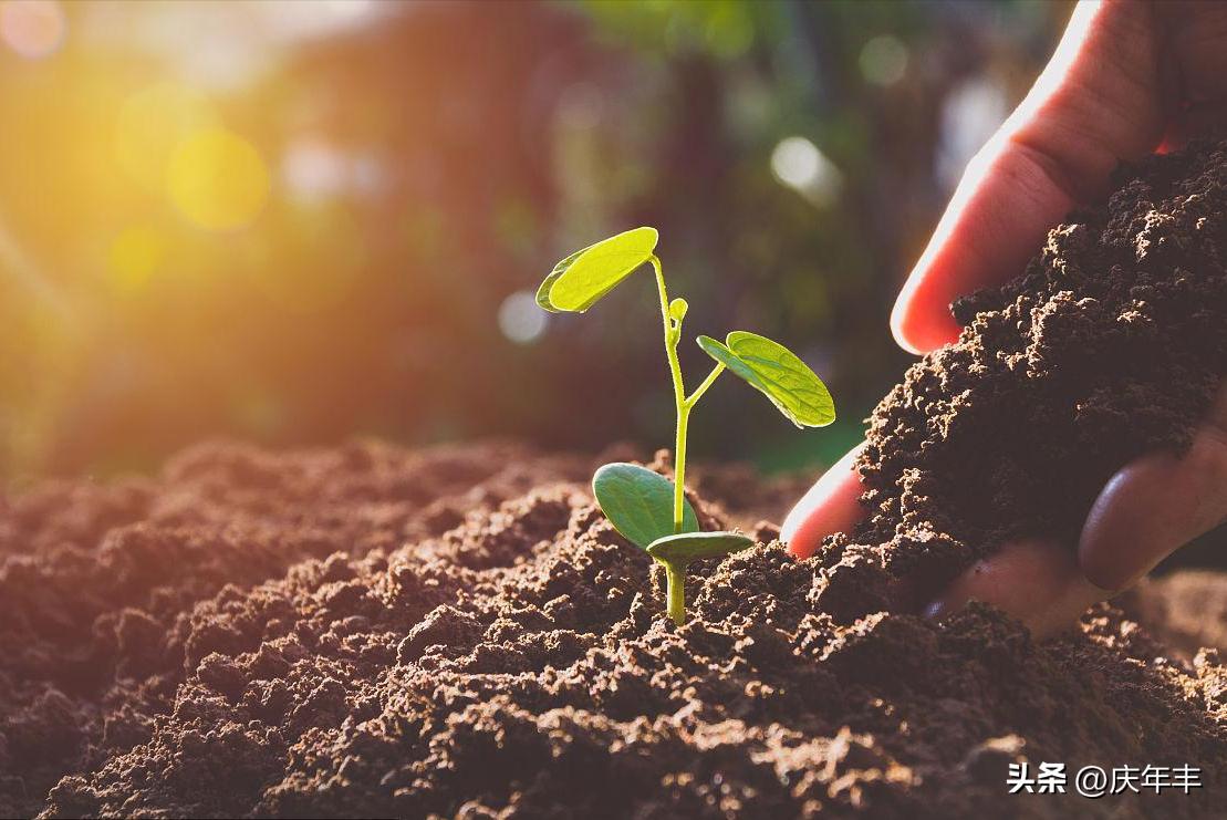 播种时覆土厚度一定要适宜为什么,播种时对土壤的要求