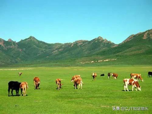 爱美女市长许爱莲打一支美容针30万,受贿890万被判11年