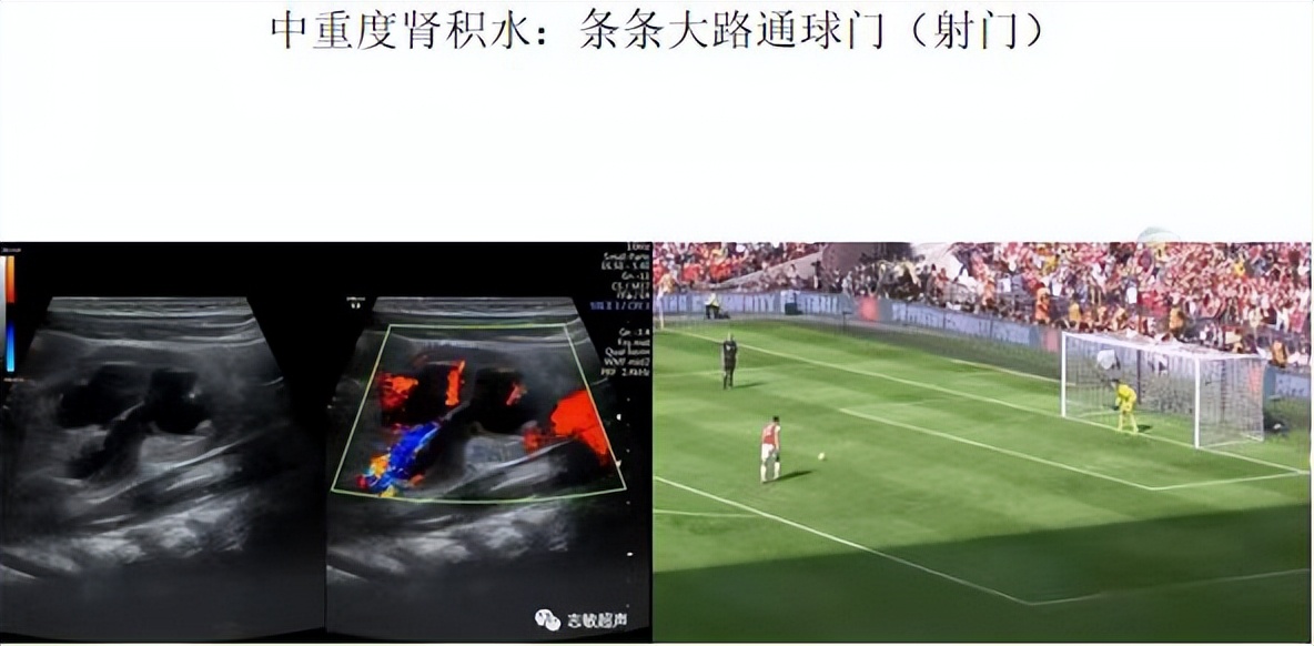 明知山有虎偏向虎山行神评论,明知山有虎偏向虎山行打一生肖