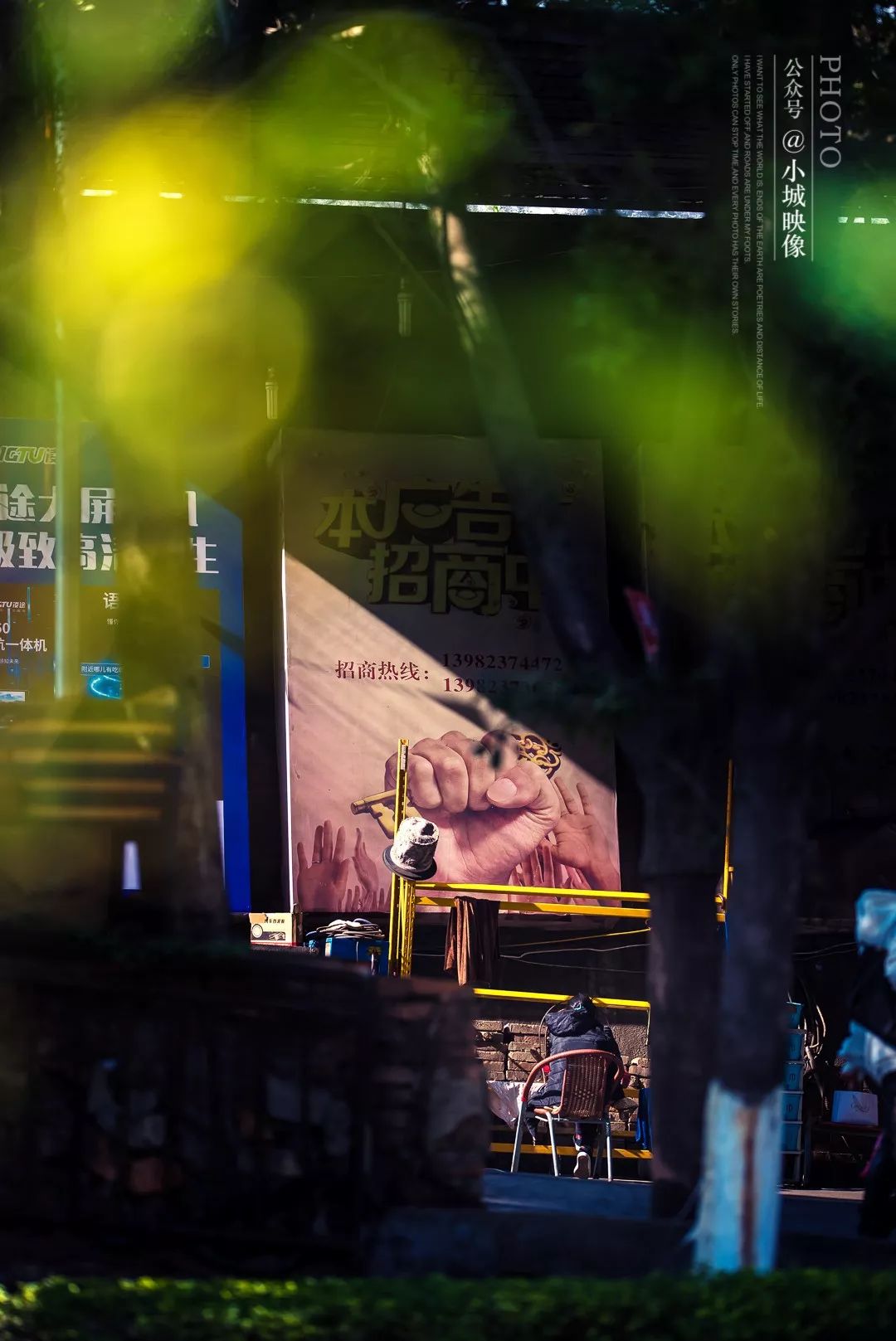 攀枝花是一种什么花,什么是攀枝花铁树