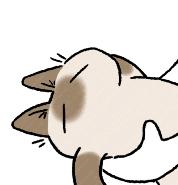 入门级中高端医疗险推荐,线下十大良心百万医疗险排行榜