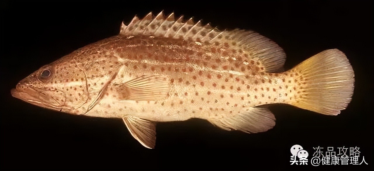 美容护肤食疗方案,美容护肤养生介绍