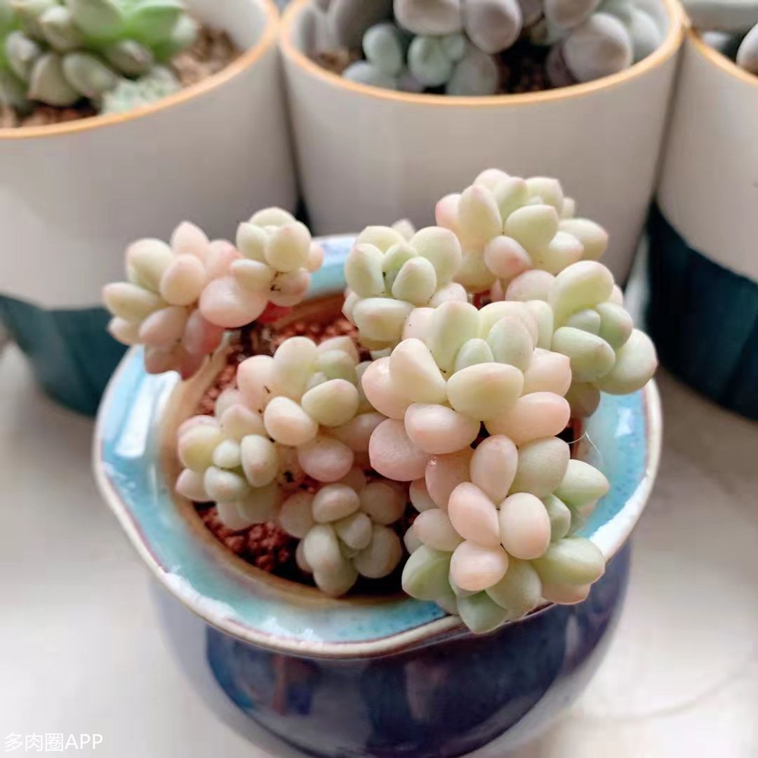 煤烟怎么预防,怎样可以缓解煤烟中毒