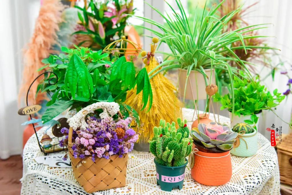 可以驱车直接上山的露营地,大自然馈赠的绝佳露营地