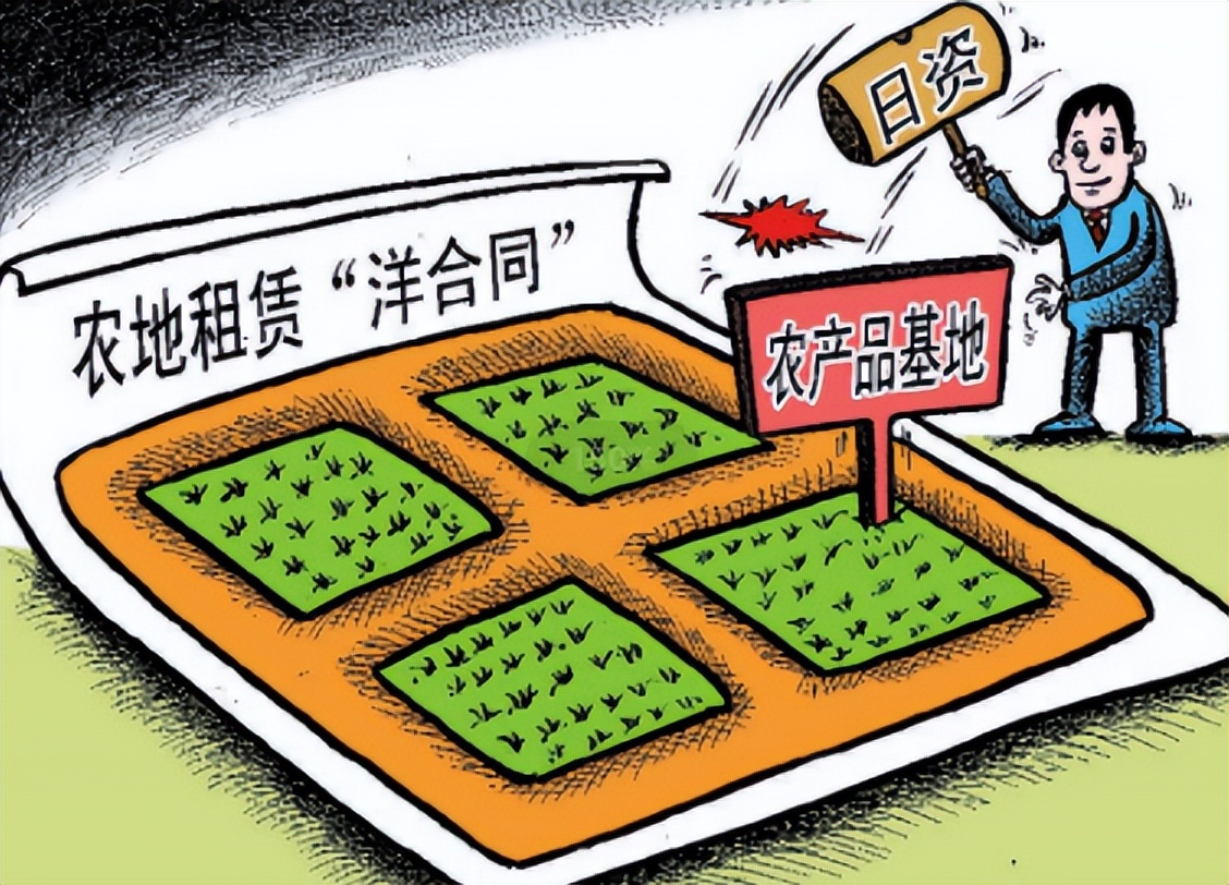 2006年日本企业投资15亿，租下山东1500亩良田，闲置5年杂草丛生