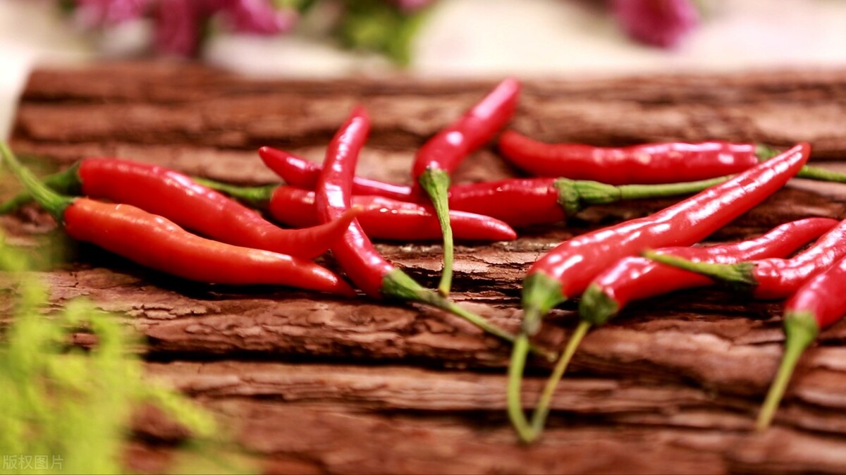 辣椒的辣是味道还是痛觉,为什么辣椒有味