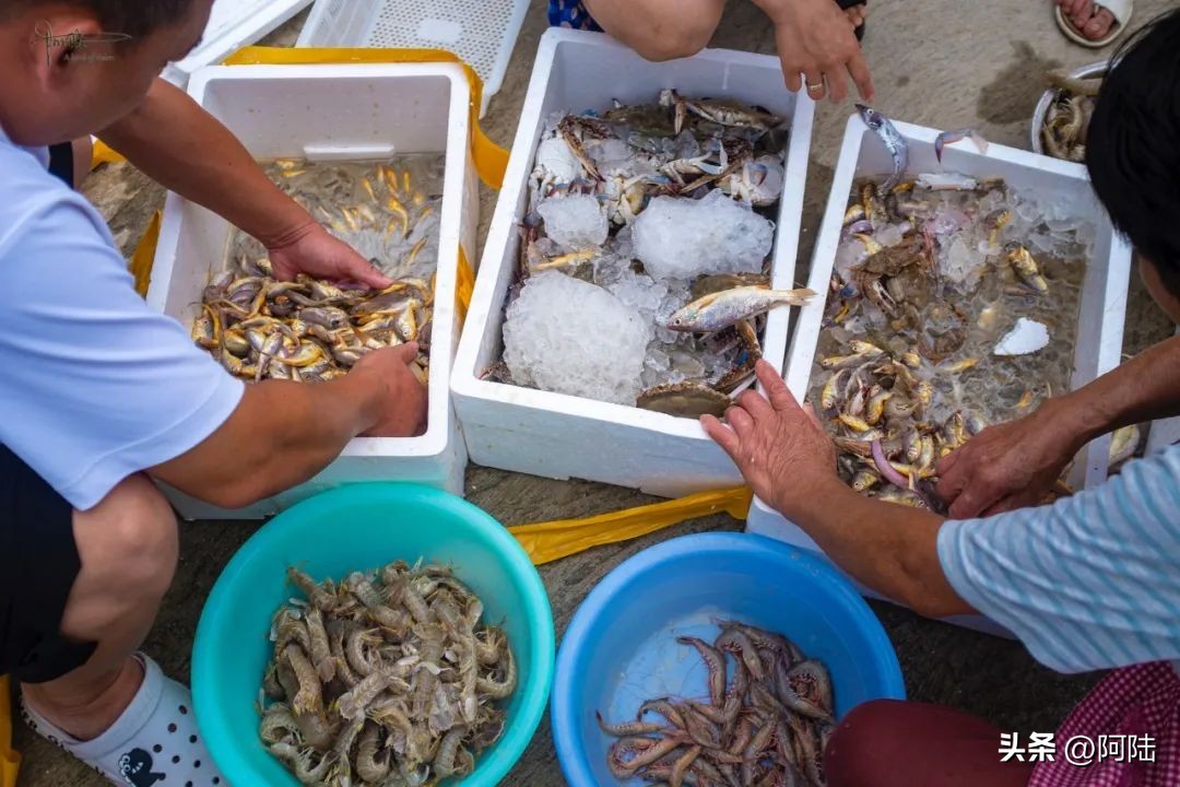去舟山朱家尖住哪里方便,自驾游到舟山朱家尖怎么安排住宿