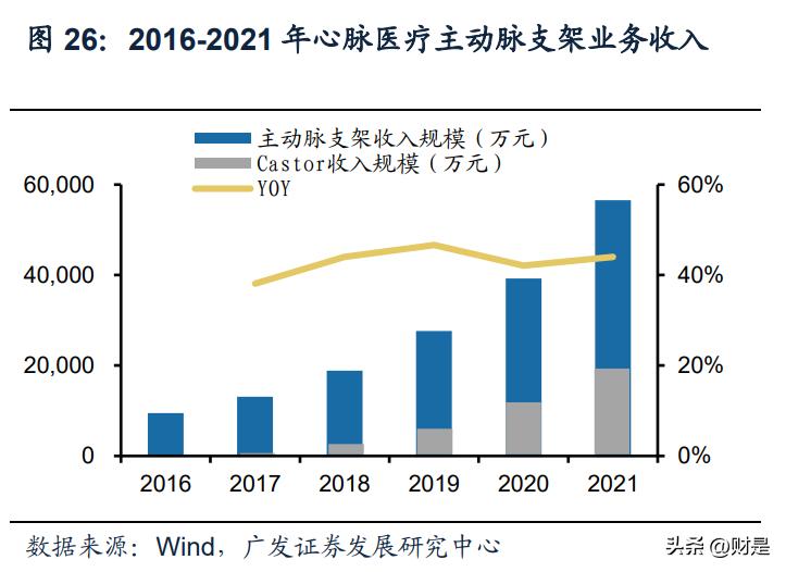先健科技架构调整,先健科技增幅放缓