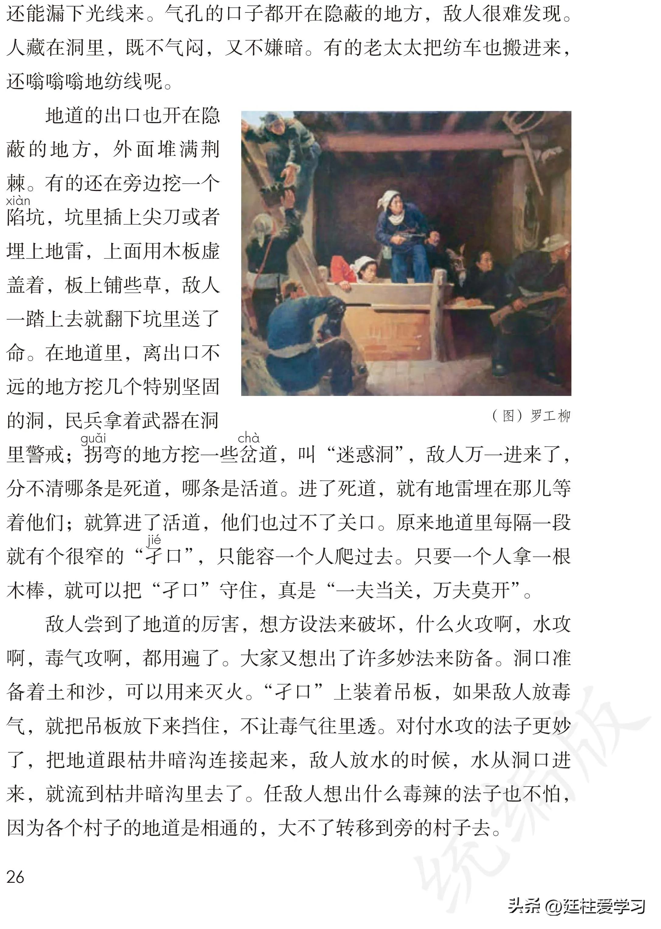 小学语文五年级上册22课,小学语文五年级上册知识点