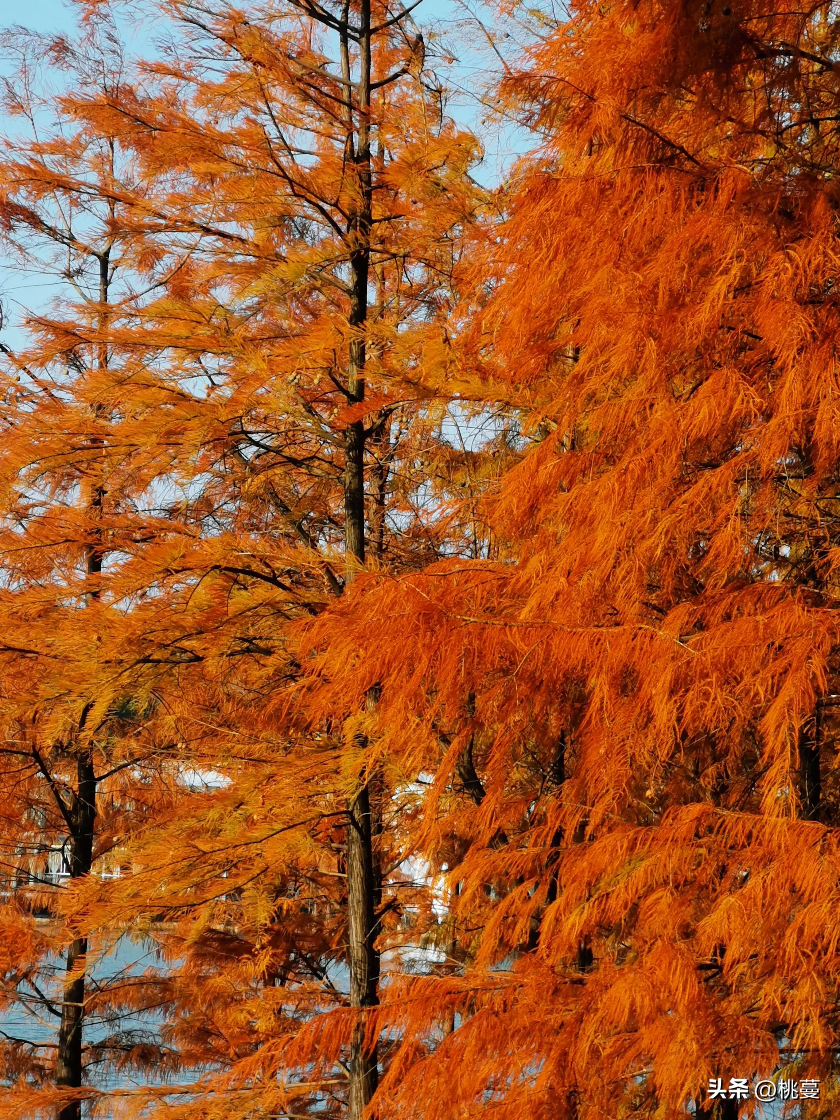 请不要再哄抢医疗物资了，把它们留给最需要的人
